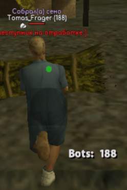 Игрок с ботом